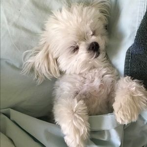 Meet your Posher, Lori